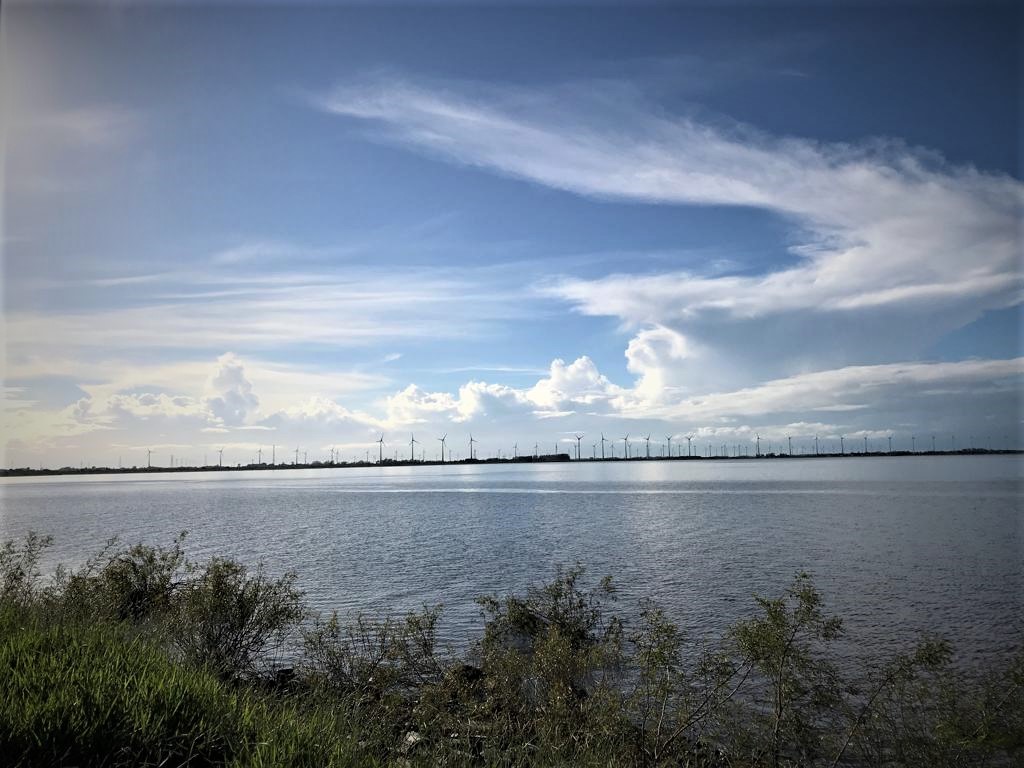 IMG-20190226-WA0001 (2)